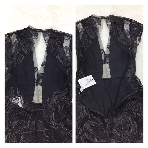 Saulee Alyssa Embroiled Mesh Fit &Flare Midi Dress - Picture 7 of 8